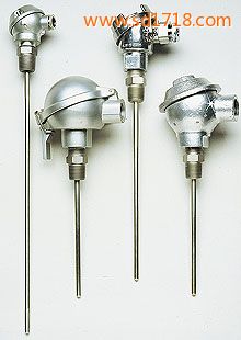 帶保護頭的工業熱電偶NB系列