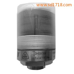 無線軸承狀態(tài)監(jiān)測器DH5976W